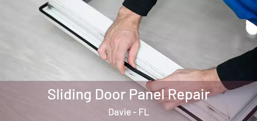  Sliding Door Panel Repair Davie - FL