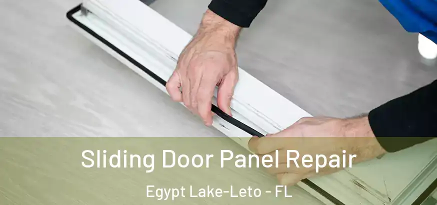  Sliding Door Panel Repair Egypt Lake-Leto - FL
