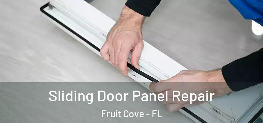 Sliding Door Panel Repair Fruit Cove - FL