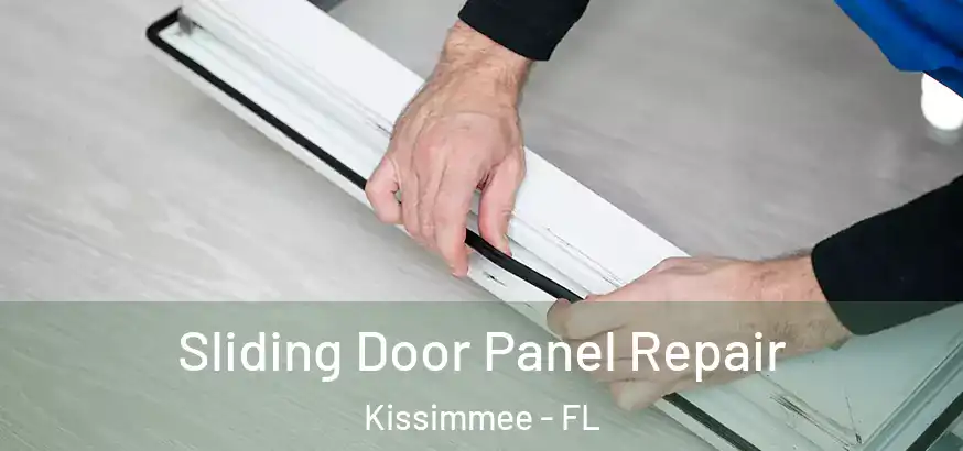  Sliding Door Panel Repair Kissimmee - FL