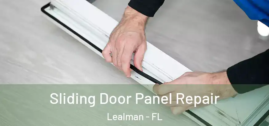  Sliding Door Panel Repair Lealman - FL