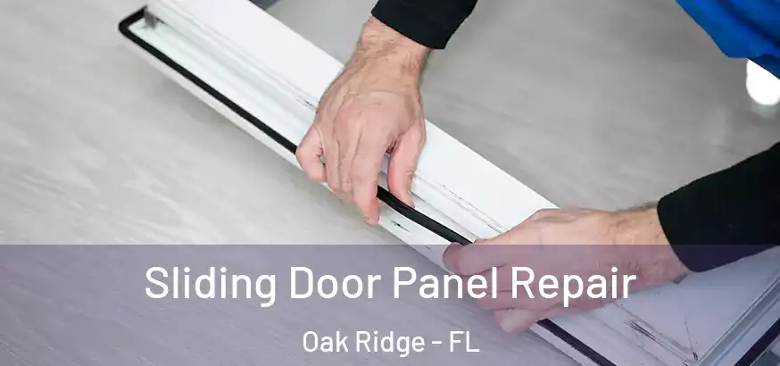  Sliding Door Panel Repair Oak Ridge - FL
