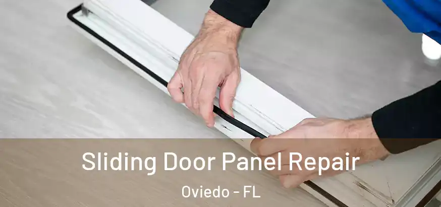  Sliding Door Panel Repair Oviedo - FL