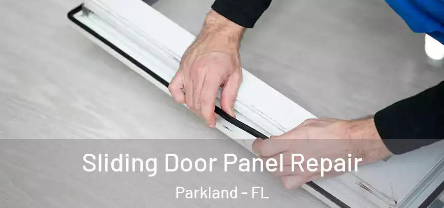 Sliding Door Panel Repair Parkland - FL