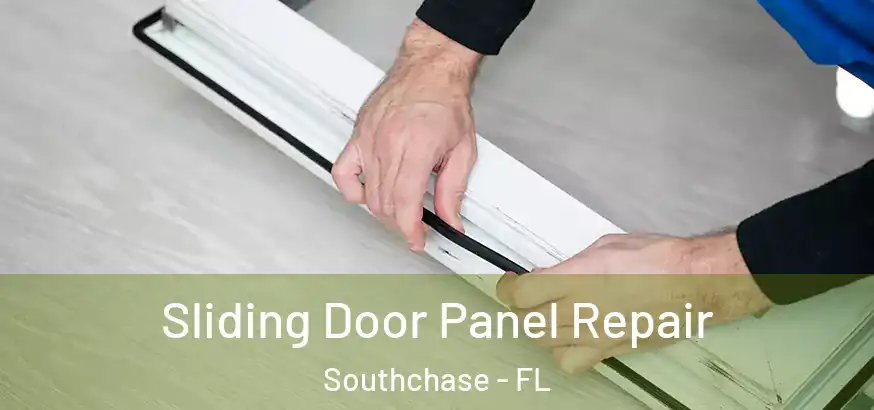 Sliding Door Panel Repair Southchase - FL