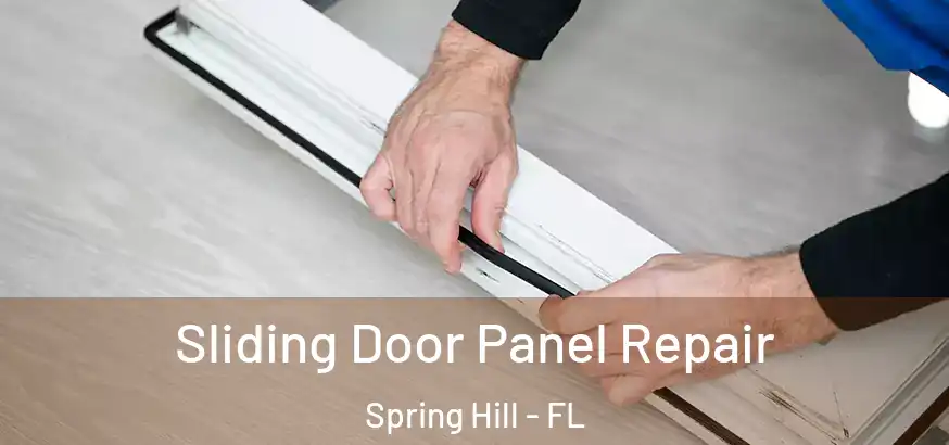  Sliding Door Panel Repair Spring Hill - FL