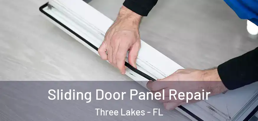  Sliding Door Panel Repair Three Lakes - FL