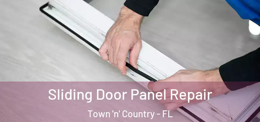  Sliding Door Panel Repair Town 'n' Country - FL