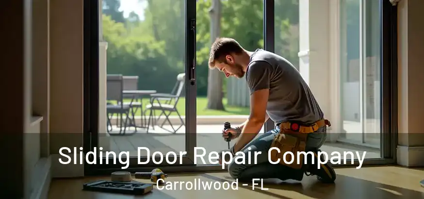  Sliding Door Repair Company Carrollwood - FL