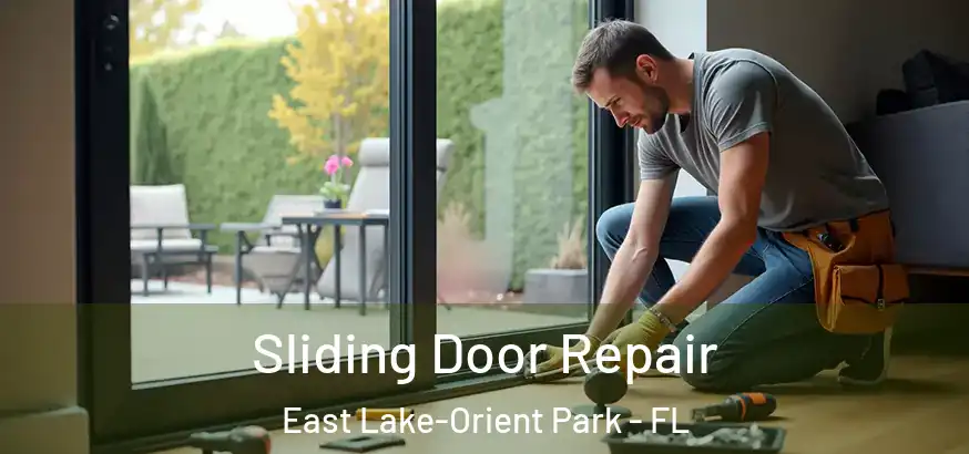 Sliding Door Repair East Lake-Orient Park - FL