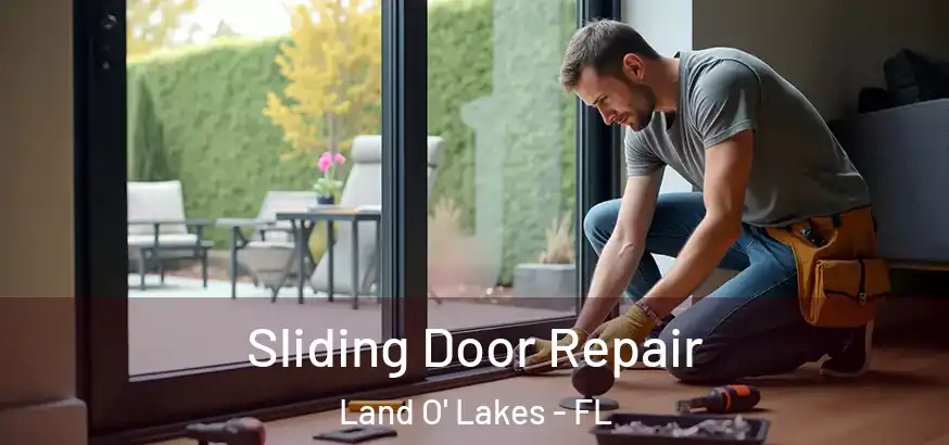  Sliding Door Repair Land O' Lakes - FL