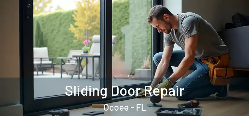  Sliding Door Repair Ocoee - FL