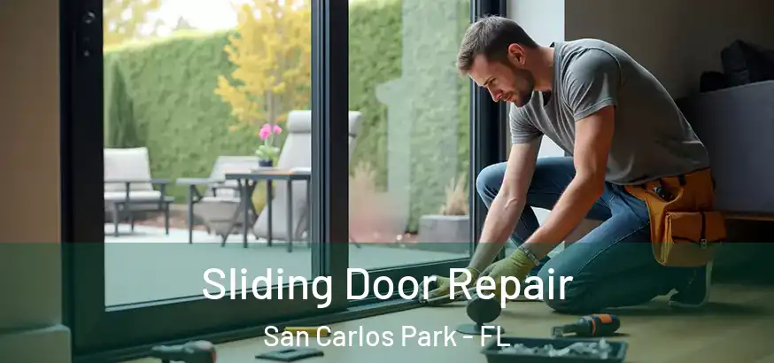 Sliding Door Repair San Carlos Park - FL