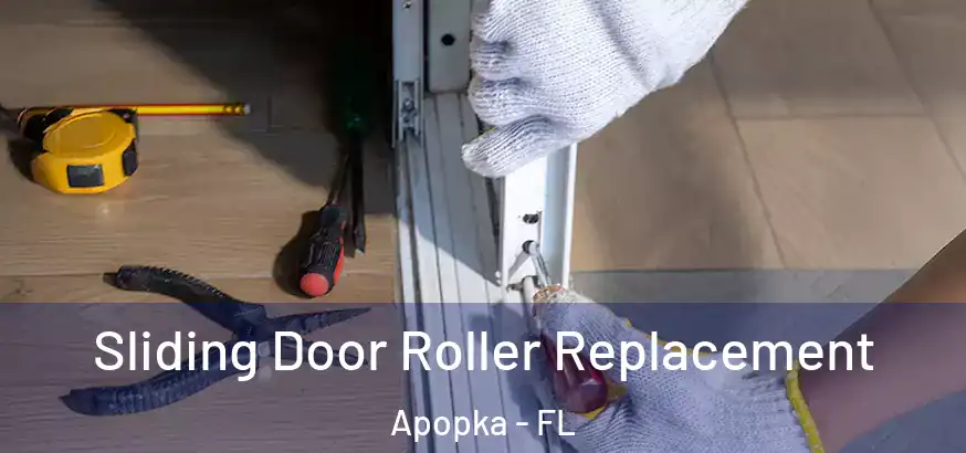  Sliding Door Roller Replacement Apopka - FL