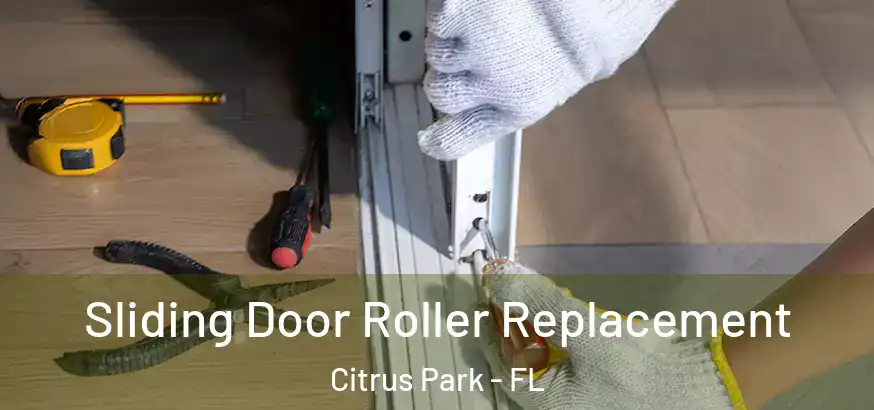  Sliding Door Roller Replacement Citrus Park - FL