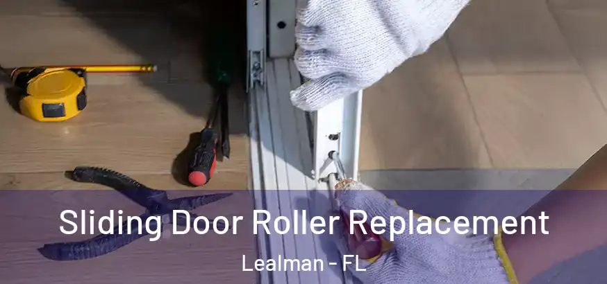  Sliding Door Roller Replacement Lealman - FL