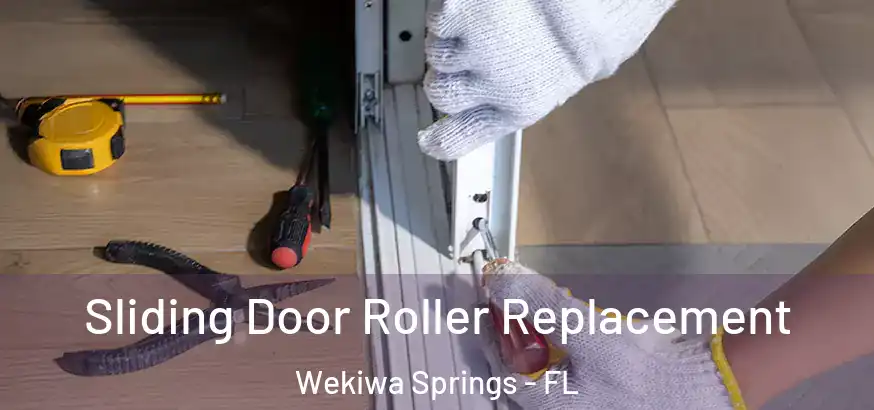 Sliding Door Roller Replacement Wekiwa Springs - FL