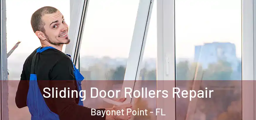 Sliding Door Rollers Repair Bayonet Point - FL