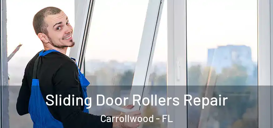  Sliding Door Rollers Repair Carrollwood - FL