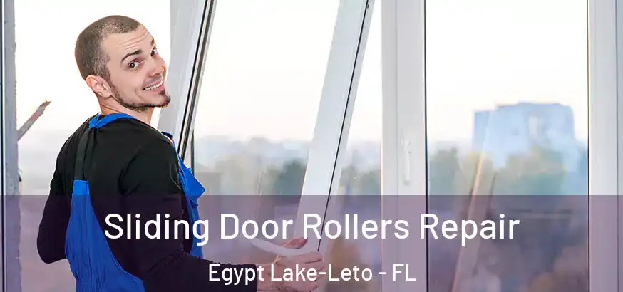  Sliding Door Rollers Repair Egypt Lake-Leto - FL