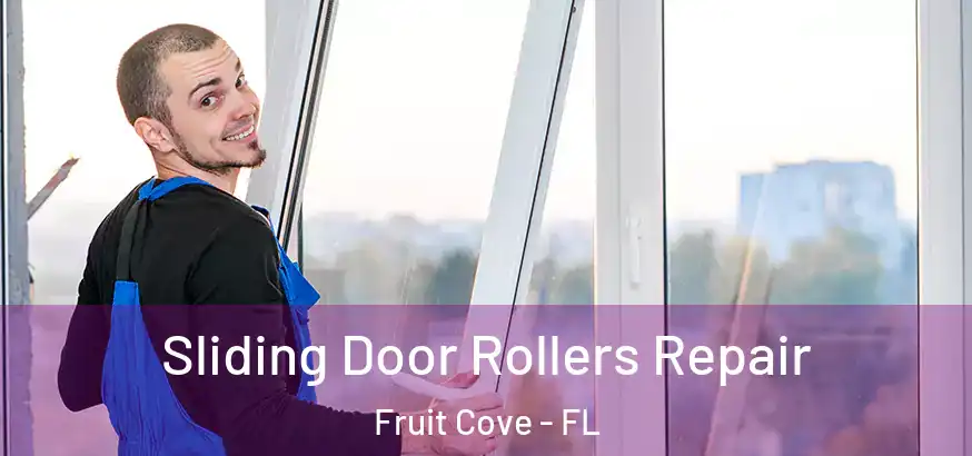  Sliding Door Rollers Repair Fruit Cove - FL