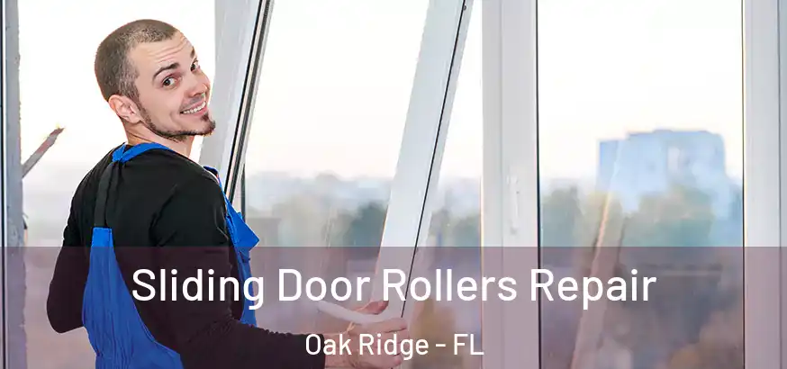  Sliding Door Rollers Repair Oak Ridge - FL