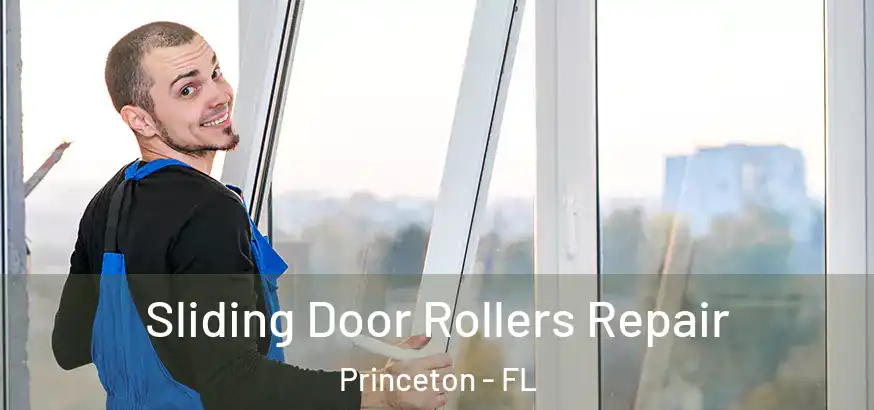  Sliding Door Rollers Repair Princeton - FL