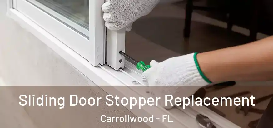  Sliding Door Stopper Replacement Carrollwood - FL
