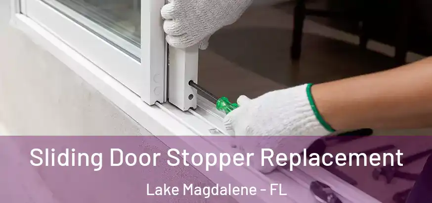  Sliding Door Stopper Replacement Lake Magdalene - FL