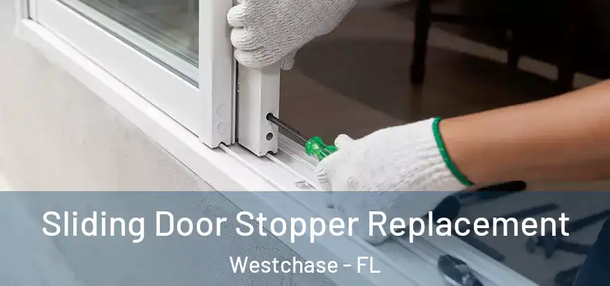  Sliding Door Stopper Replacement Westchase - FL