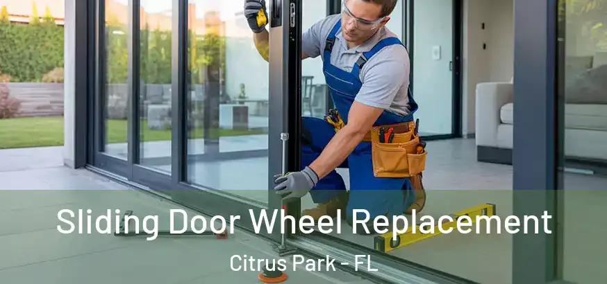  Sliding Door Wheel Replacement Citrus Park - FL