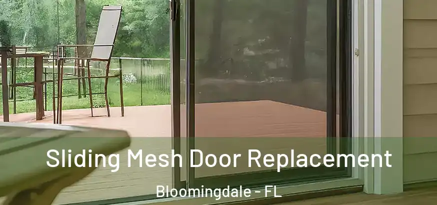 Sliding Mesh Door Replacement Bloomingdale - FL