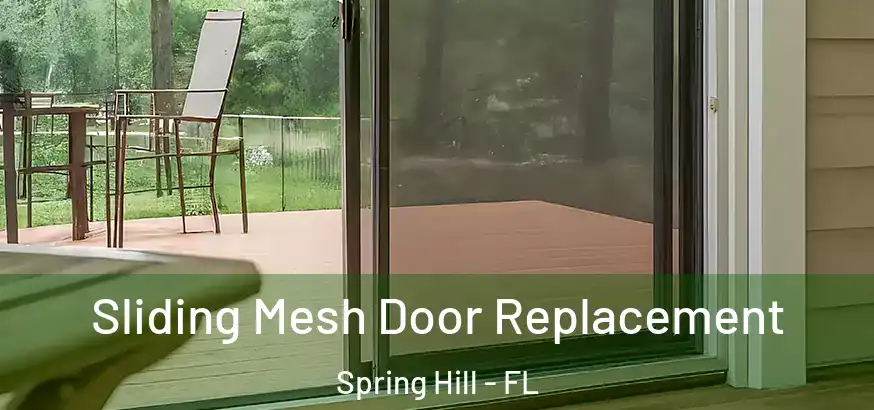 Sliding Mesh Door Replacement Spring Hill - FL