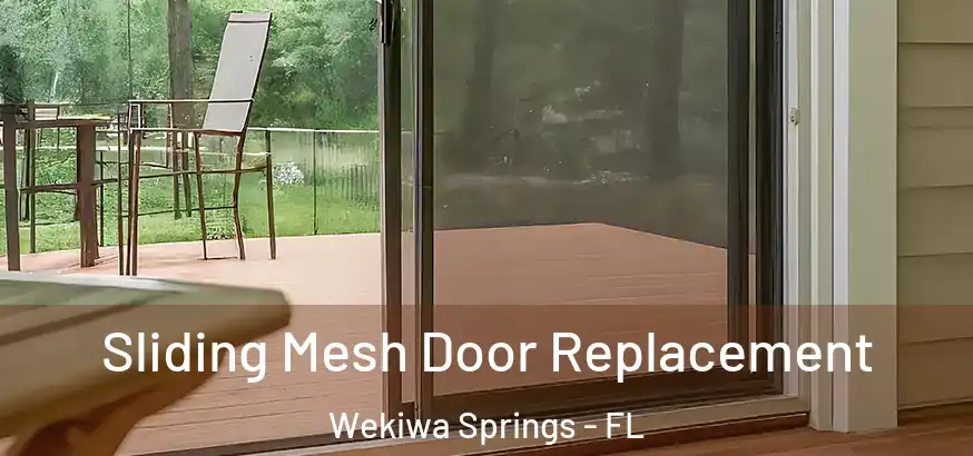  Sliding Mesh Door Replacement Wekiwa Springs - FL