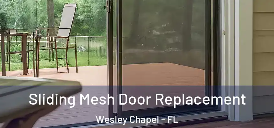  Sliding Mesh Door Replacement Wesley Chapel - FL