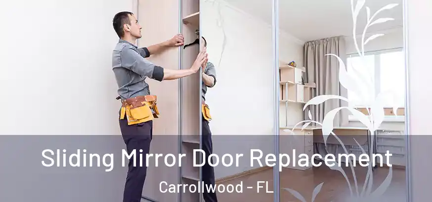  Sliding Mirror Door Replacement Carrollwood - FL