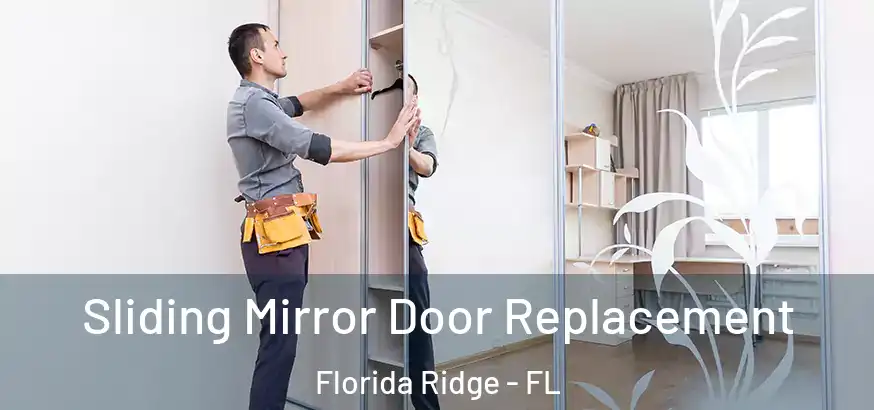Sliding Mirror Door Replacement Florida Ridge - FL