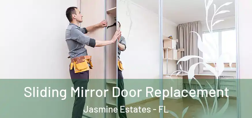  Sliding Mirror Door Replacement Jasmine Estates - FL