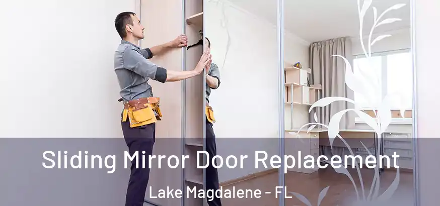  Sliding Mirror Door Replacement Lake Magdalene - FL