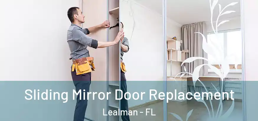  Sliding Mirror Door Replacement Lealman - FL