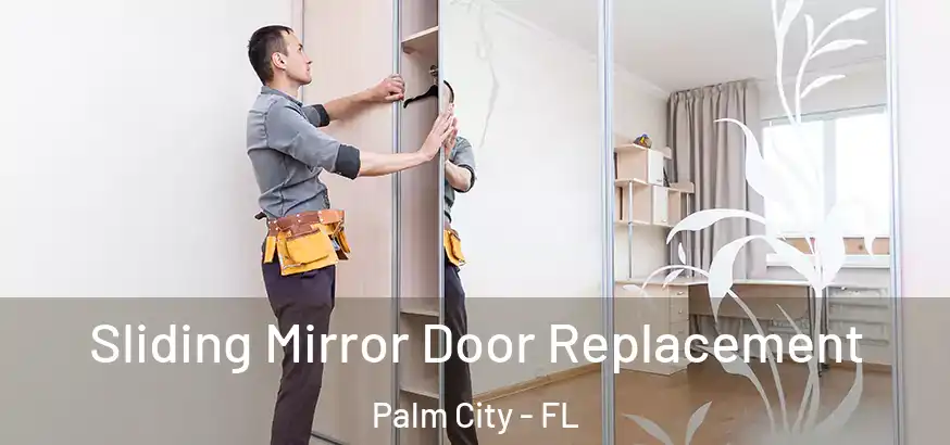  Sliding Mirror Door Replacement Palm City - FL