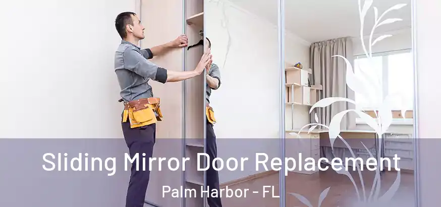 Sliding Mirror Door Replacement Palm Harbor - FL