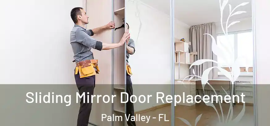  Sliding Mirror Door Replacement Palm Valley - FL