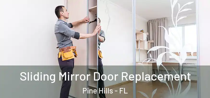  Sliding Mirror Door Replacement Pine Hills - FL