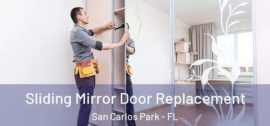  Sliding Mirror Door Replacement San Carlos Park - FL