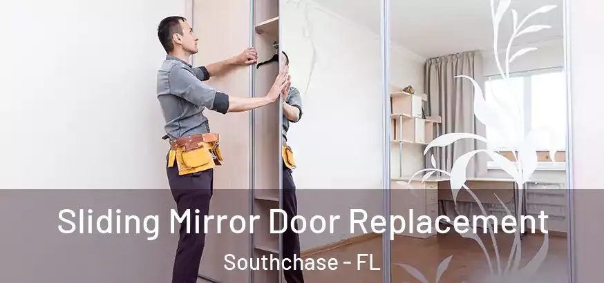 Sliding Mirror Door Replacement Southchase - FL