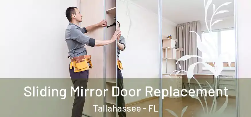  Sliding Mirror Door Replacement Tallahassee - FL