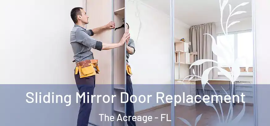  Sliding Mirror Door Replacement The Acreage - FL