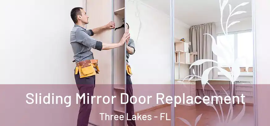  Sliding Mirror Door Replacement Three Lakes - FL
