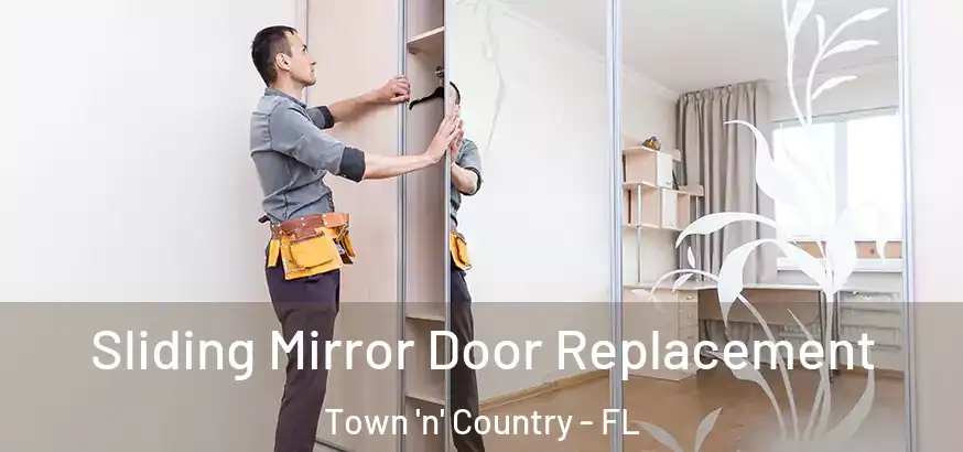  Sliding Mirror Door Replacement Town 'n' Country - FL